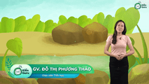 n, m (Phần 2)