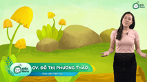 n, m (Phần 1)