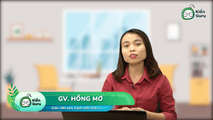 Đô thị hoá