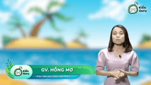 Thiên nhiên chịu ảnh hưởng sâu sắc của biển