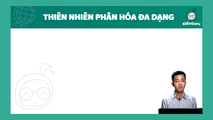 Thiên nhiên phân hóa theo độ cao