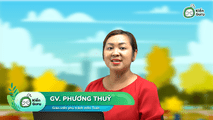 Phương trình vô tỷ
