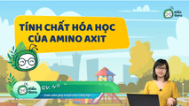 Tính chất hóa học của amino axit