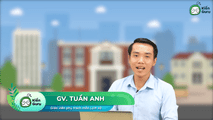 Xã hội Việt Nam phân hóa