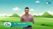 Các biến cố độc lập, công thức nhân xác suất