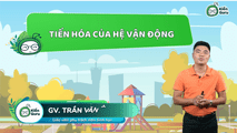 Tiến hóa của hệ vận động