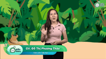 Luyện tập (Trang 67)