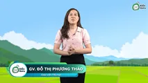 Luyện tập (Trang 82)