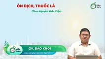 Ôn dịch, thuốc lá