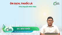 Ôn dịch, thuốc lá