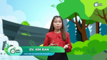 Quần thể và mối quan hệ giữa các cá thể