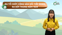 Ba tổ chức cộng sản nối tiếp nhau ra đời trong năm 1929