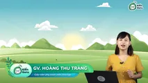 Tính chất hóa học của kim loại