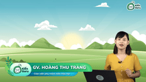 Tính chất hóa học của kim loại