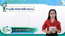 Các hệ thống sông lớn ở nước ta
