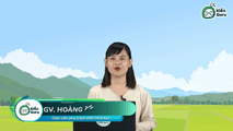  Muối