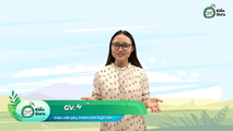 Giá trị văn học và tiếp nhận văn học