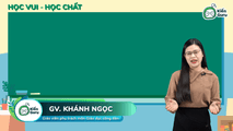 Nội dung cơ bản của pháp luật về các lĩnh vực phát triển xã hội