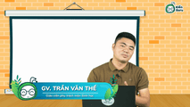 Cấu tạo của tai