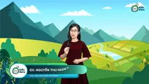 Đặc điểm địa hình Việt Nam