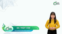 Thực hiện kế hoạch 5 năm 1991 - 1995