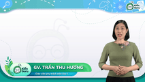 Tổ chức lãnh thổ nông nghiệp