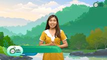 Các đặc trưng cơ bản của quần thể sinh vật (Phần 2)