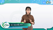 Miền Bắc và Đông Bắc Bắc Bộ