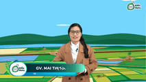 Sử dụng hợp lí và cải tạo tự nhiên ở Đồng bằng sông Cửu Long