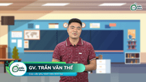 Tủy sống và dây thần kinh tủy
