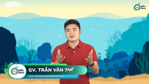 Đại não