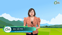 Vấn đề phát triển kinh tế - xã hội ở Bắc Trung Bộ
