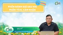 Phần đánh giá sau khi phân tích, cảm nhận