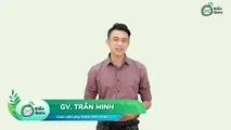 Bài tập Tổ hợp