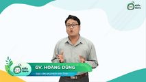 Bài tập phương trình lượng giác không mẫu mực