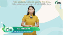 (MỚI!!!) Grammar Questions review