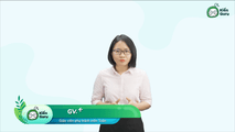Bài tập nâng cao phân tích đa thức thành nhân tử (Phần 3)