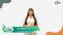 Đề kiểm tra chương Mặt nón, mặt trụ, mặt cầu