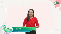 Văn bản tổng kết