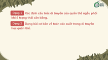 Bài tập Quần thể ngẫu phối (Phần 2)