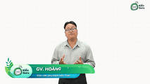 (MỚI!!!) Hình chiếu của một điểm lên một đường thẳng