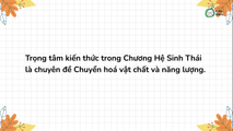 (MỚI!!!) Bài tập chuỗi thức ăn và lưới thức ăn