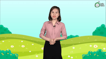 Luyện tập