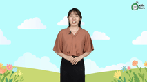 Giới thiệu về Từ và câu Lớp 2