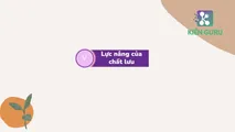 LT - Lực nâng của chất lưu