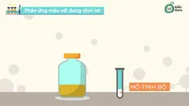 Tính chất và ứng dụng của tinh bột