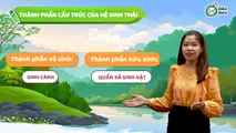 Khái niệm và cấu trúc hệ sinh thái