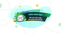 Cấu trúc di truyền của quần thể tự phối