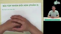 Bài tập về nhân đôi ADN (Phần 2)