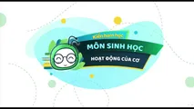 Hoạt động của cơ